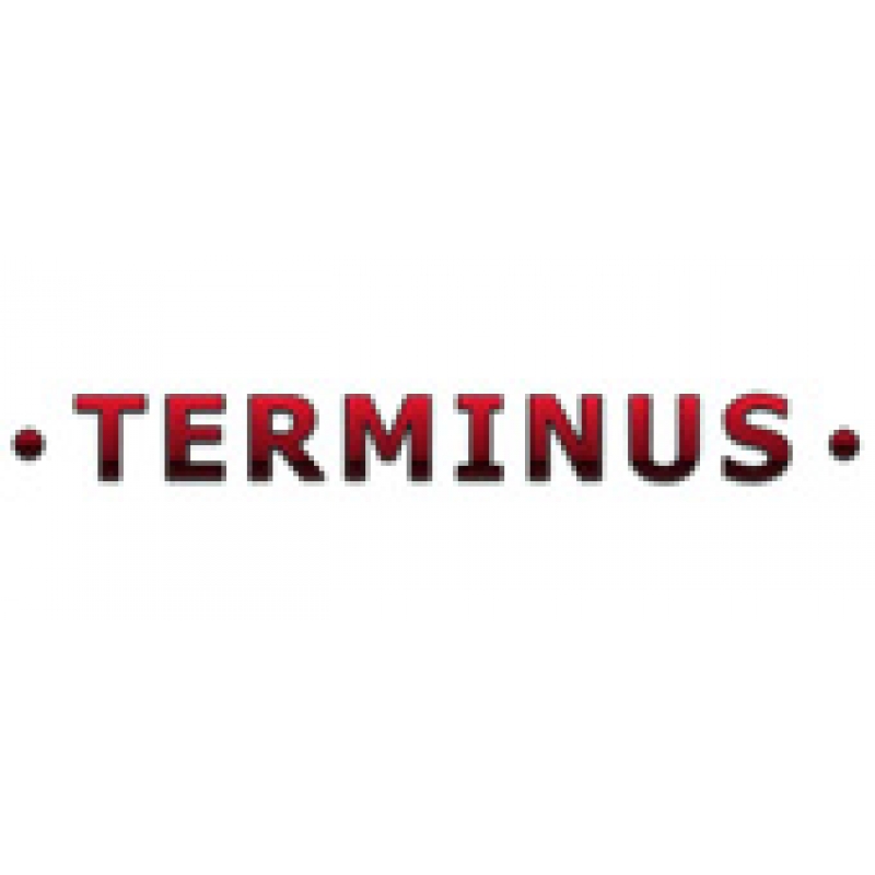 Купить Terminus